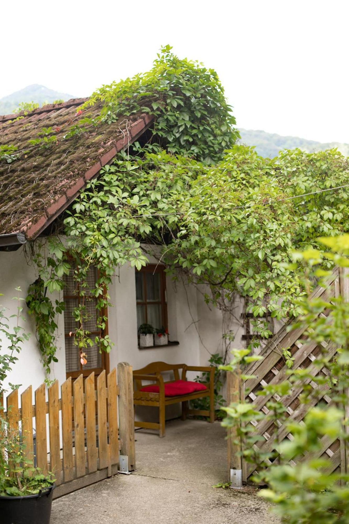 Steinschalerhof Hotel Warth  Екстериор снимка