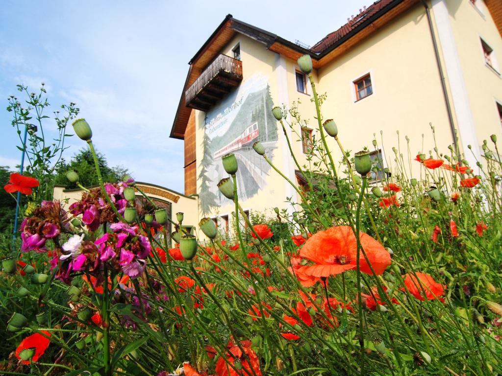 Steinschalerhof Hotel Warth  Екстериор снимка
